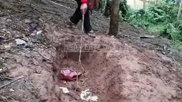 Pelaku