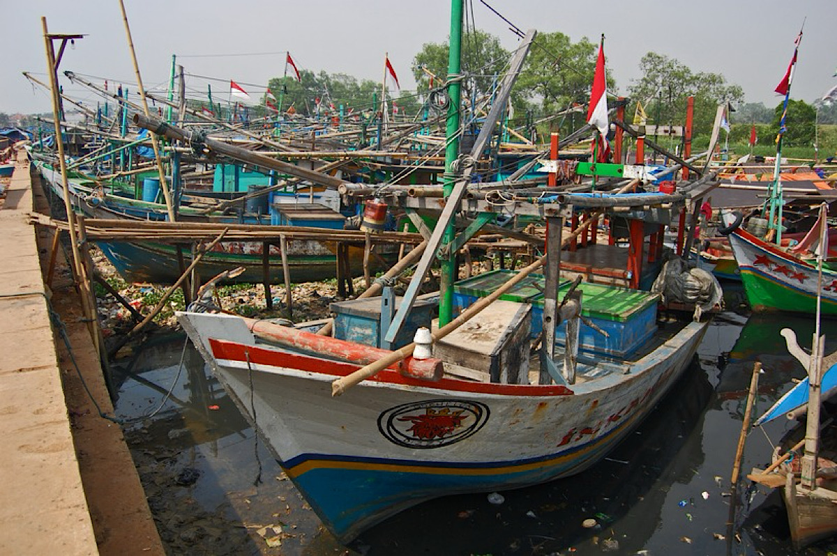 Kenapa